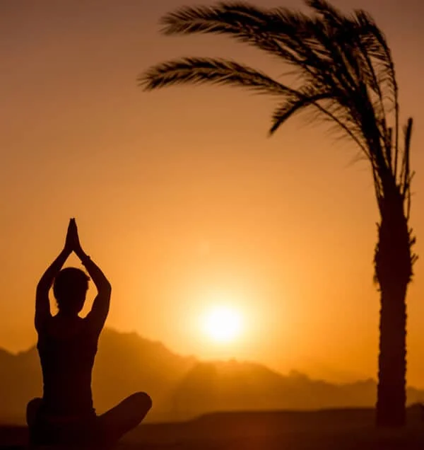 Séance de yoga collective dans le jardin